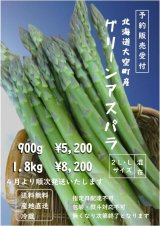 大空町・松田農場のハウス栽培グリーンアスパラガスL・２Lサイズ混在【送料込】
