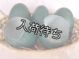 エミュー　卵殻　B級品