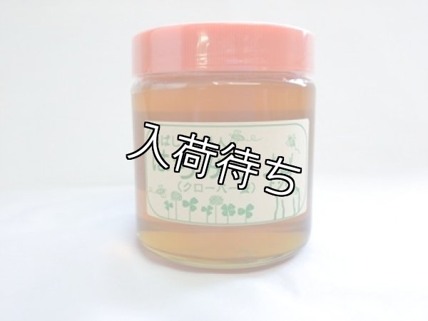 画像2: 北海道網走・関養蜂場『はちみつ』 600g (2)